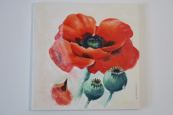 Roter Mohn Mohnkapseln kaufen 50x50cm