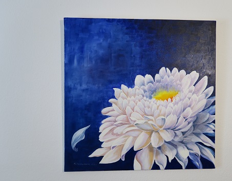 Chrysantheme Bild kaufen