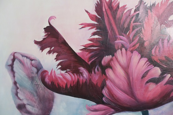 Tulpe burgund Bild kaufen