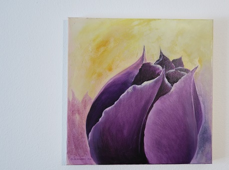 Tulpe lila Bild kaufen