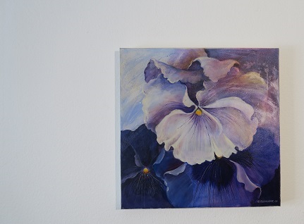 Viola violett Bild kaufen