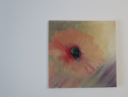 Mohnbild aprocot lachsfarben Bild kaufen
